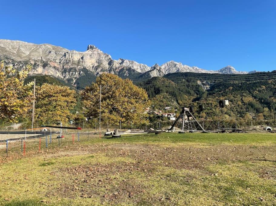 Mountain